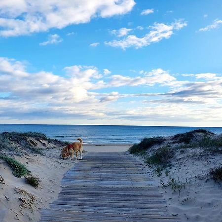 Apartamento Con Piscina En Oliva Nova エクステリア 写真