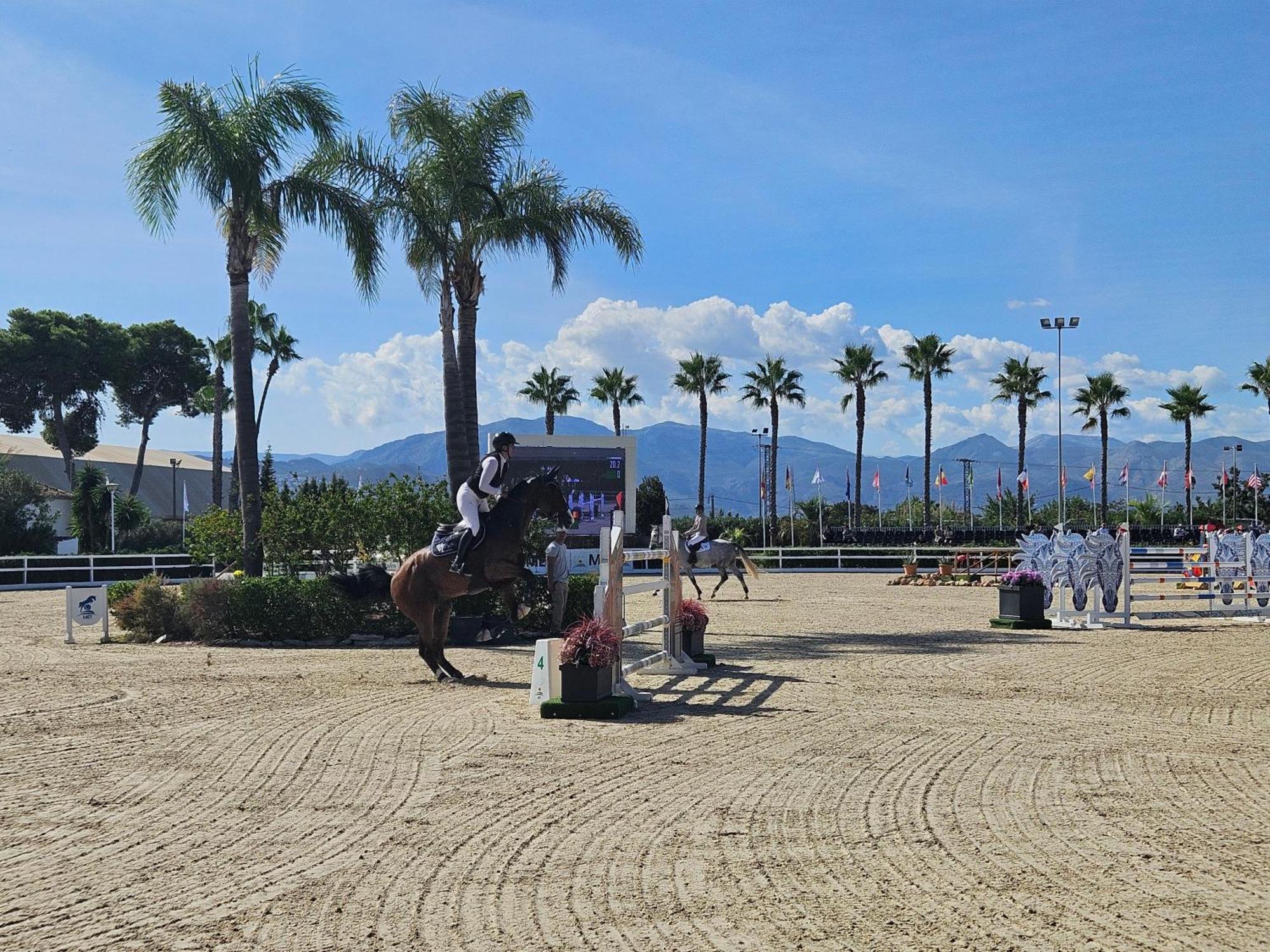 Apartamento Con Piscina En Oliva Nova エクステリア 写真